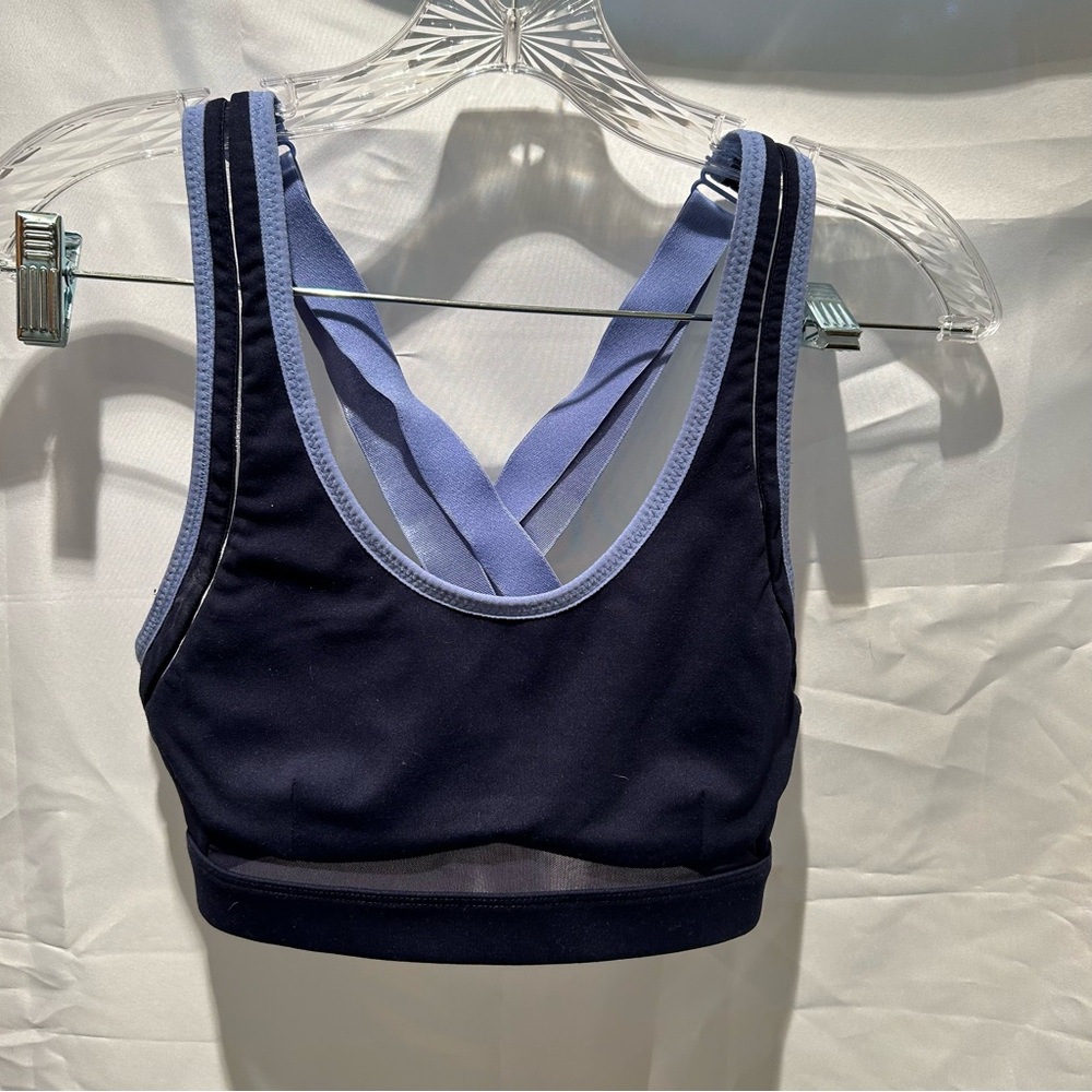 Fabletics Sports Bra